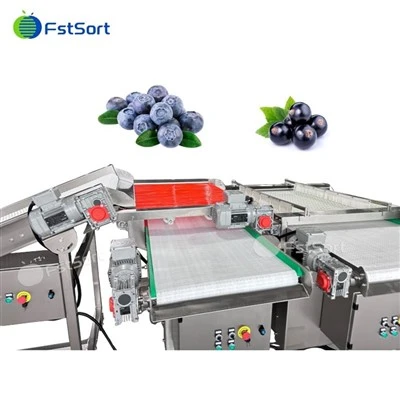 Өлчөмү боюнча өркүндөтүлгөн Belt Blueberry сорттоочу баалоочу машина, мөмө-жемиш жана жашылчаларды сорттоочу баалоо машинасы